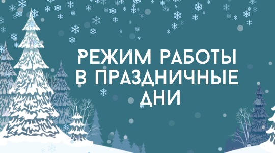 Режим работы в новогодние праздники 2026